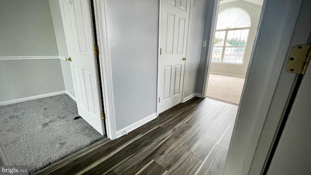 hallway featuring dark hardwood / wood-style flooring