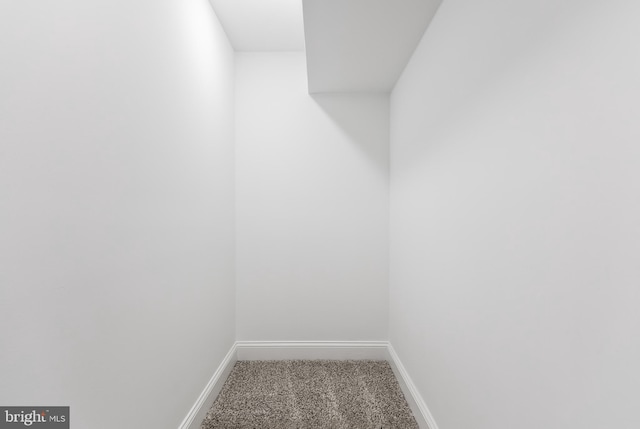 interior space featuring carpet floors