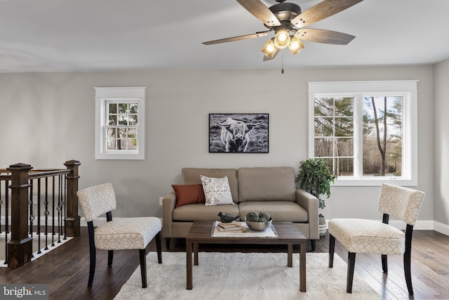 living room featuring hardwood / wood-style floors and a wealth of natural light