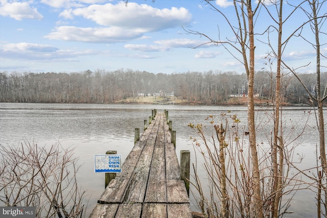 dock area with a water view