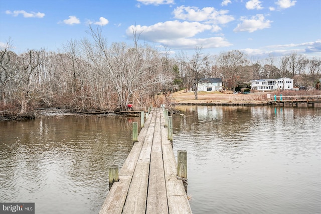 dock area with a water view