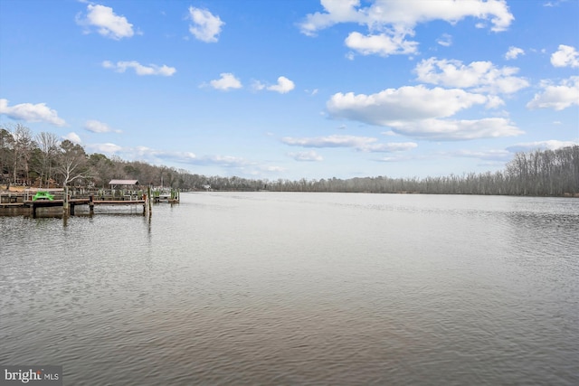 view of water feature with a boat dock