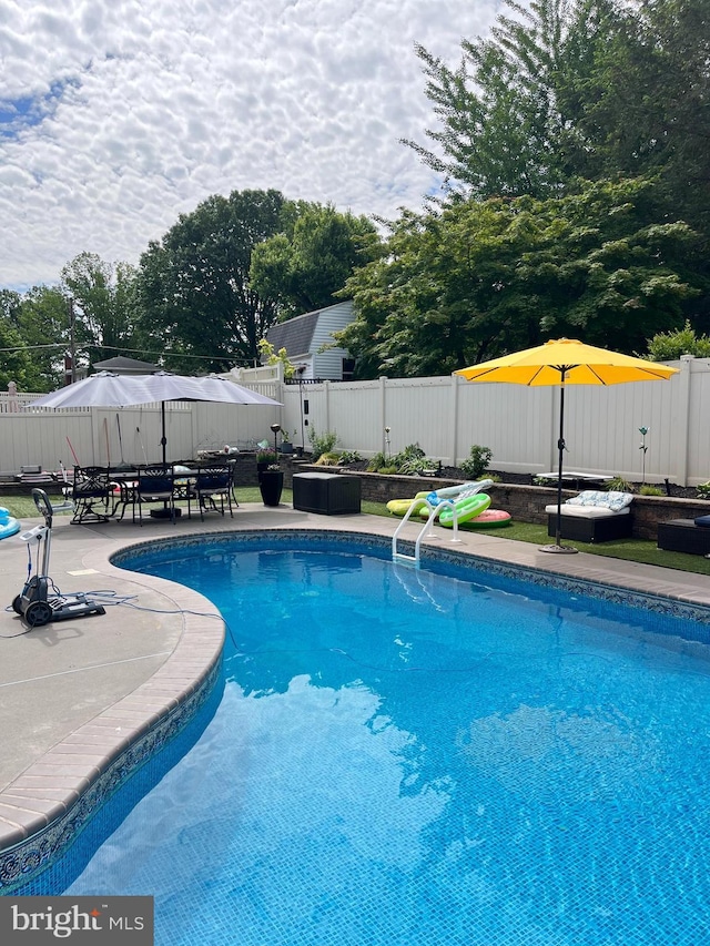 view of swimming pool with a patio area