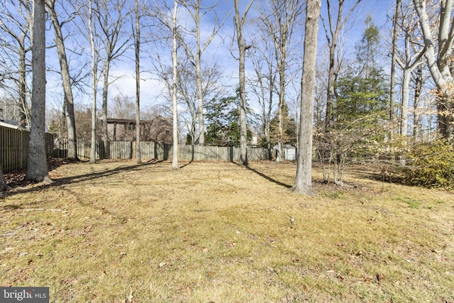 view of yard featuring fence