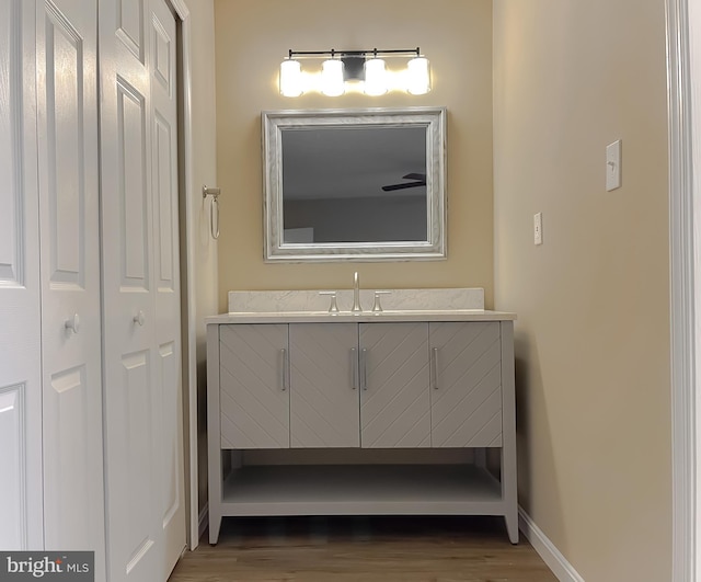 bathroom with vanity and wood-type flooring