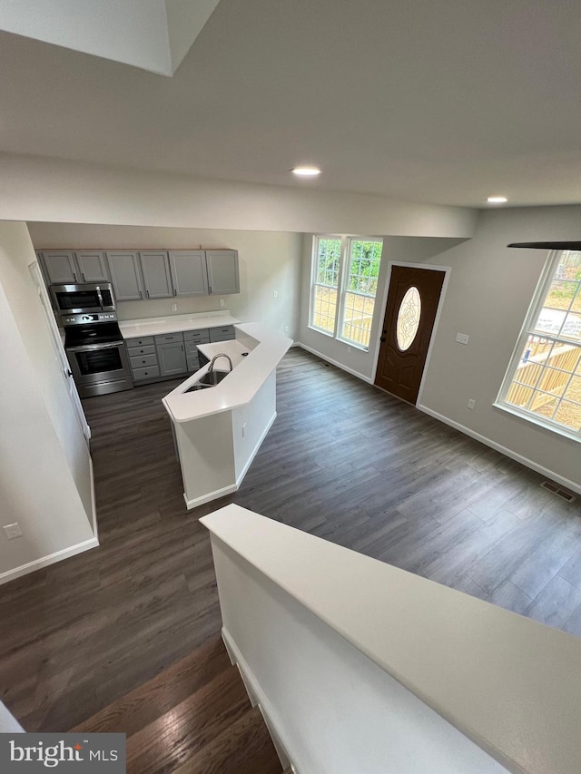 entrance foyer featuring sink, plenty of natural light, and dark hardwood / wood-style floors