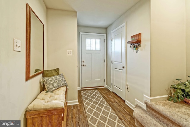 foyer entrance featuring dark hardwood / wood-style flooring