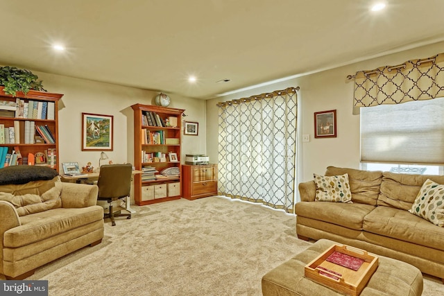 living room featuring carpet floors