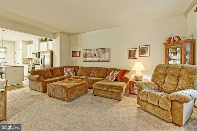 living room featuring sink