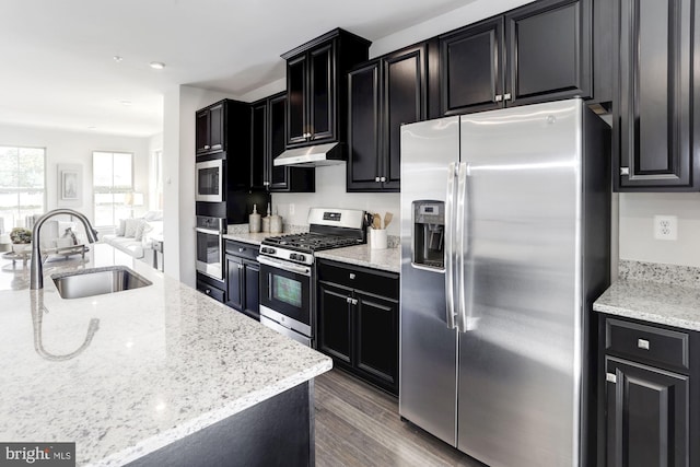 kitchen featuring a sink, dark cabinets, and stainless steel appliances