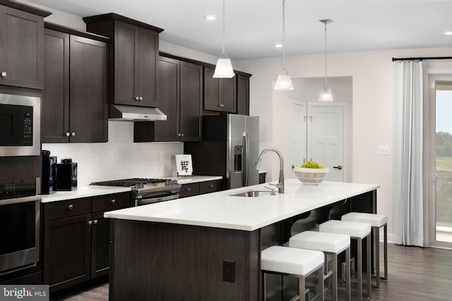 kitchen with backsplash, under cabinet range hood, a center island with sink, stainless steel appliances, and a sink