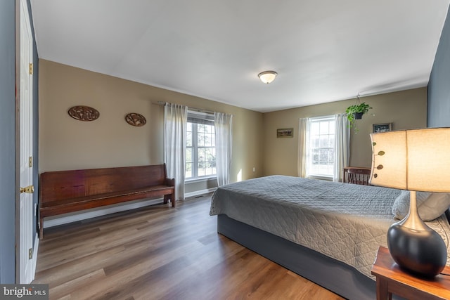 bedroom featuring multiple windows and wood-type flooring