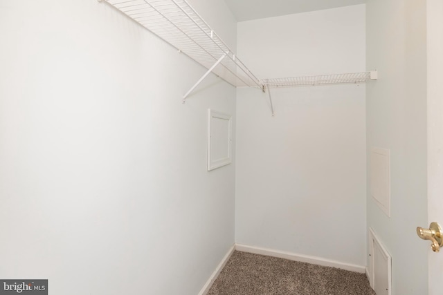 walk in closet with carpet floors