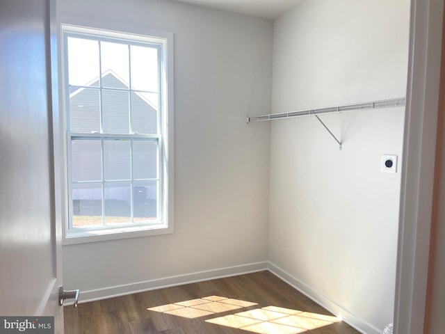 106 Thyme Way, Bunker Hill, WV 25413 - laundry area with electric dryer hookup, healthy amount of natural light, and dark wood finished floors