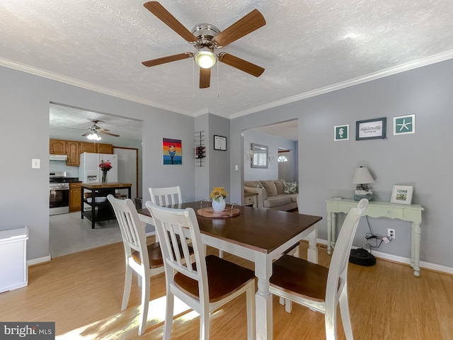 dining space with a textured ceiling, light wood-style flooring, and crown molding