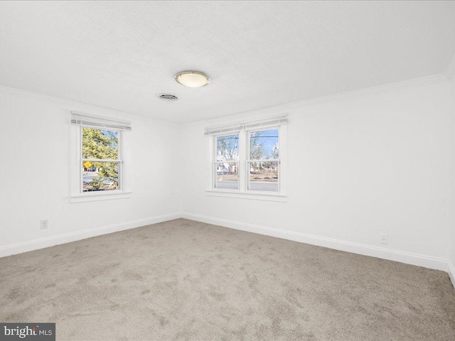 carpeted empty room with crown molding, a healthy amount of sunlight, and a textured ceiling
