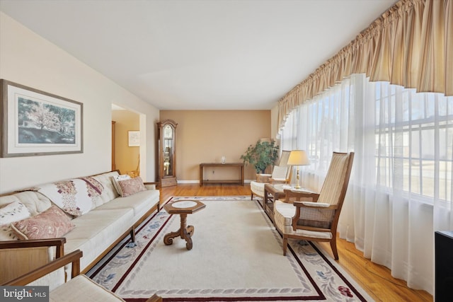 living room featuring light wood-type flooring