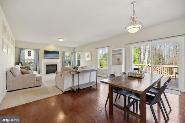 dining area featuring a glass covered fireplace, a healthy amount of sunlight, baseboards, and hardwood / wood-style floors