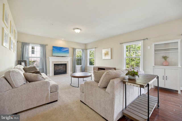 living area featuring a fireplace with flush hearth and wood finished floors