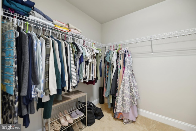 walk in closet featuring carpet floors