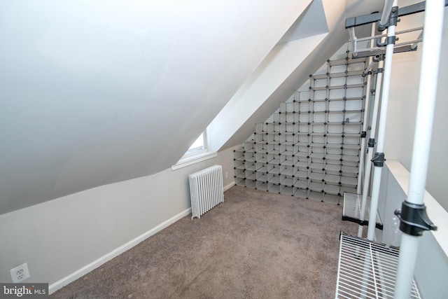 additional living space featuring lofted ceiling, radiator heating unit, baseboards, and carpet flooring