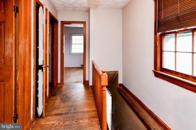 corridor with dark wood-type flooring