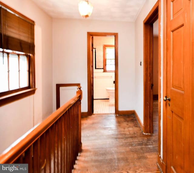 hall with dark hardwood / wood-style flooring