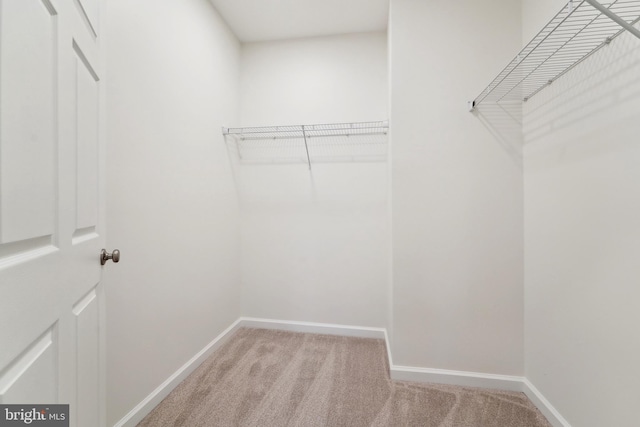 walk in closet with light colored carpet