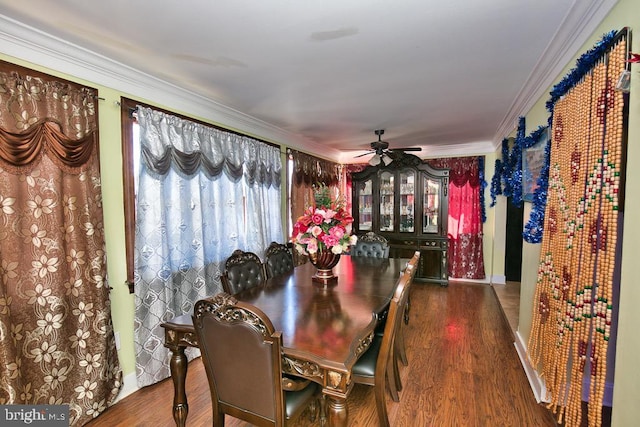 dining room with a ceiling fan, crown molding, and wood finished floors