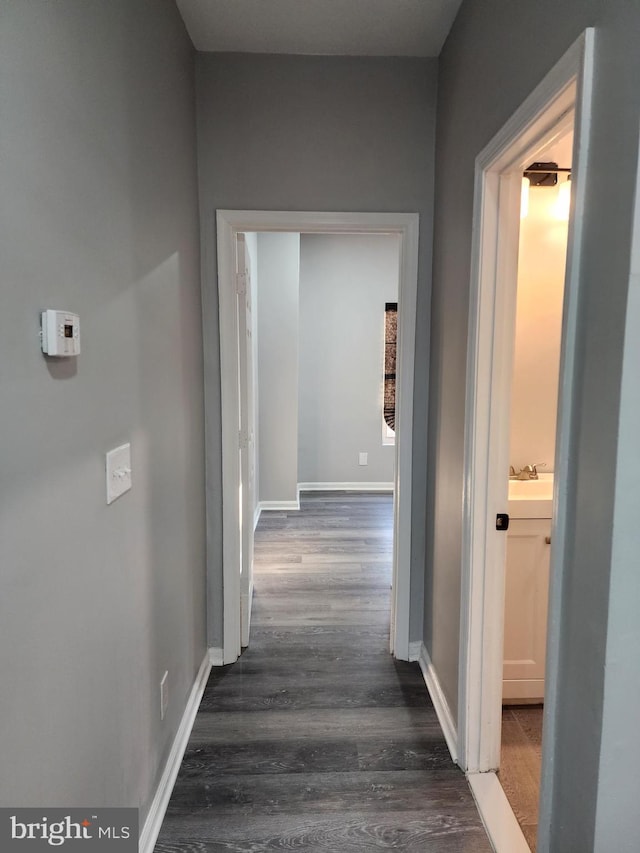 hall featuring sink and dark wood-type flooring