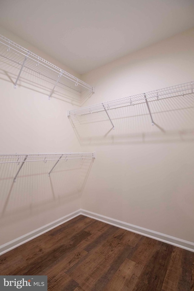 walk in closet with dark wood-type flooring