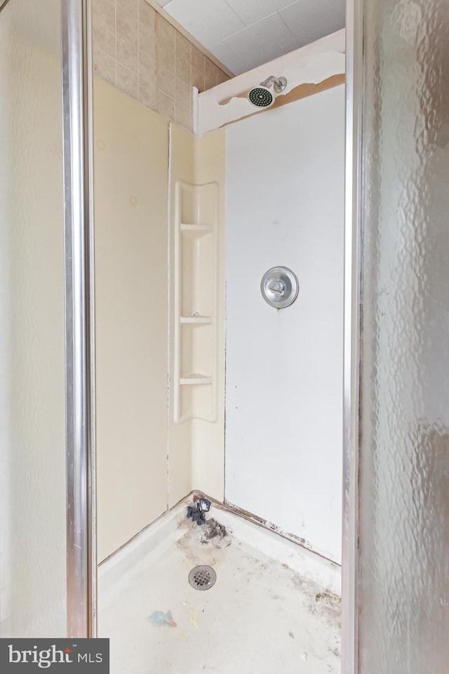 bathroom featuring walk in shower