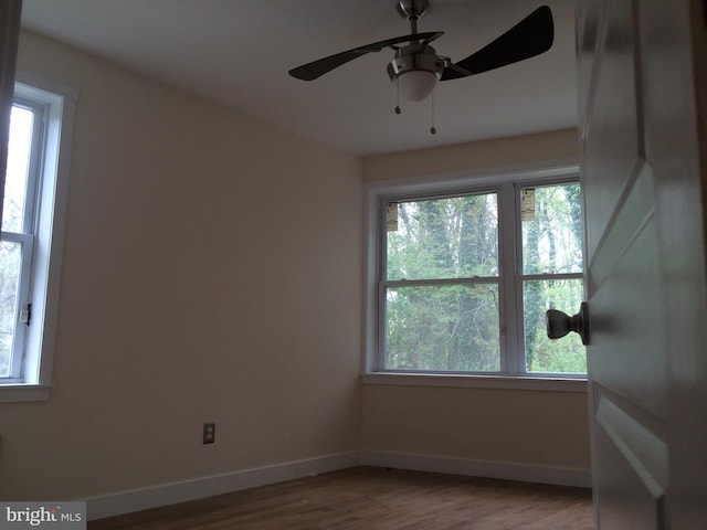 empty room with wood-type flooring