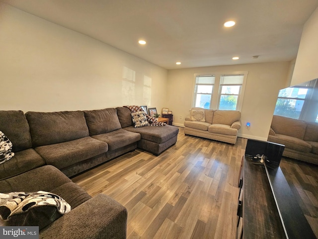 living room with wood-type flooring