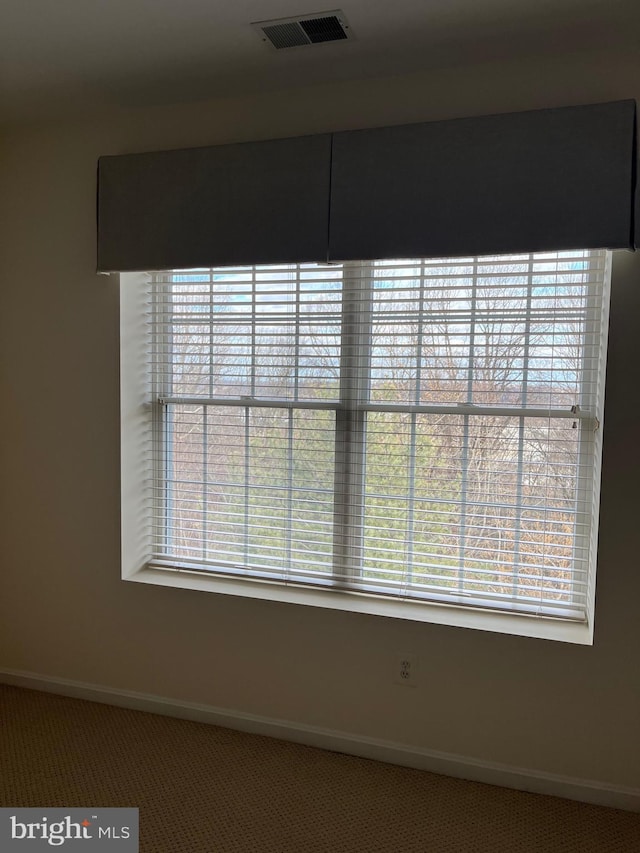 room details with carpet flooring