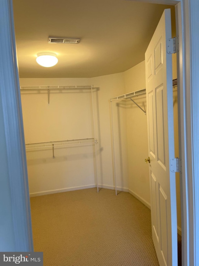 spacious closet featuring carpet flooring