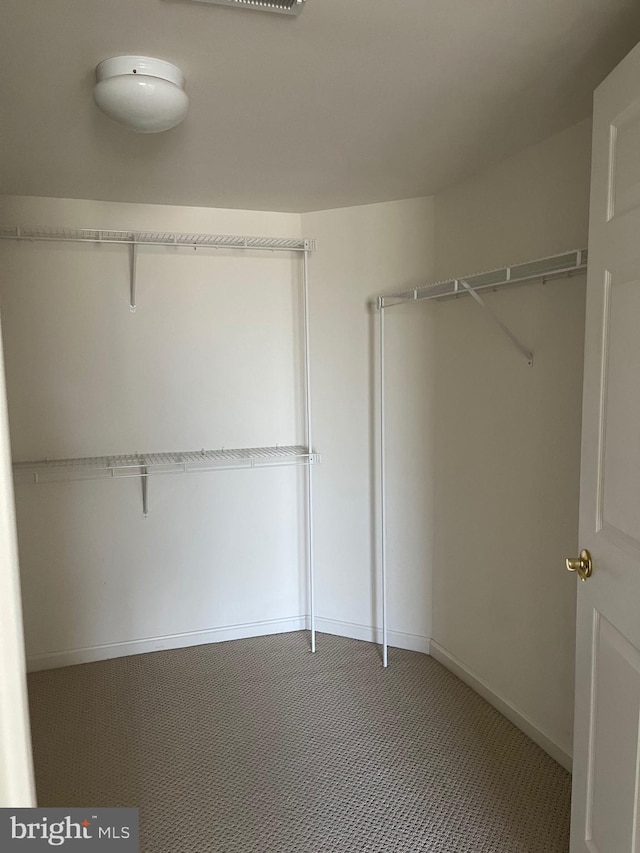 walk in closet with carpet flooring