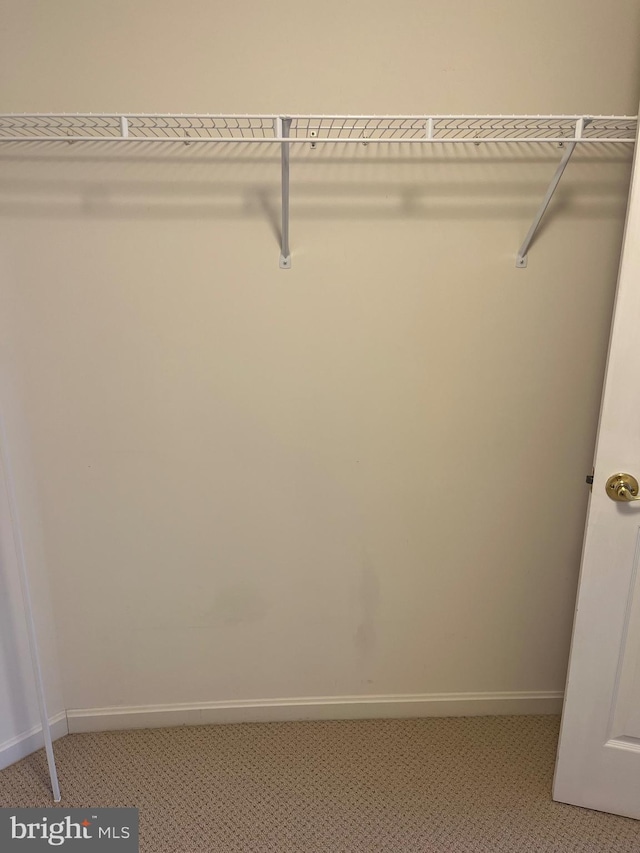 walk in closet with light colored carpet