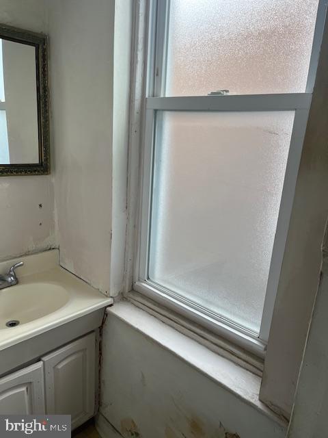 bathroom featuring vanity and a wealth of natural light