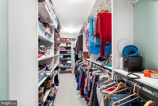 spacious closet with carpet flooring