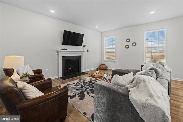 living room featuring hardwood / wood-style flooring and plenty of natural light