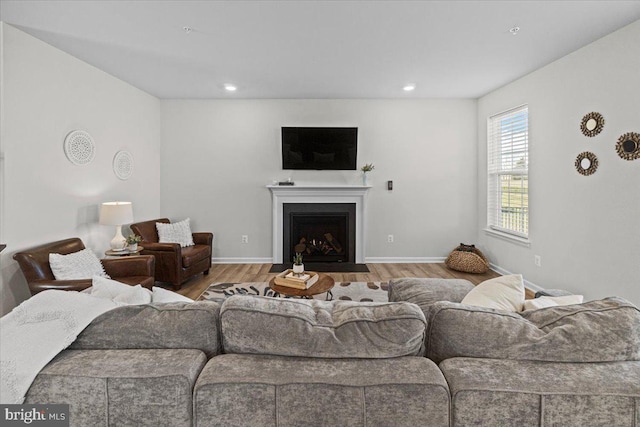 living room featuring light wood-type flooring