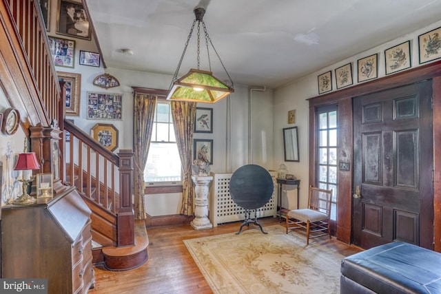 entrance foyer featuring hardwood / wood-style flooring and plenty of natural light