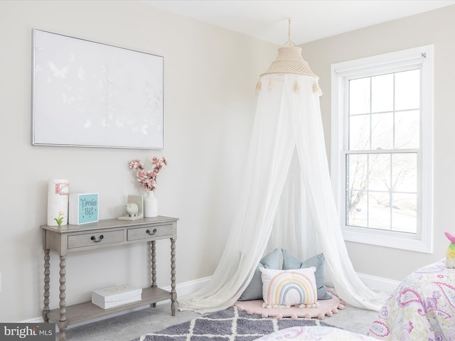 interior space with multiple windows and baseboards