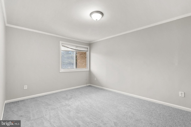 574 Wilson Bridge Dr Unit D-2, Oxon Hill, MD 20745 - empty room with crown molding and carpet