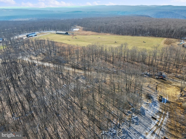 bird's eye view featuring a mountain view and a rural view