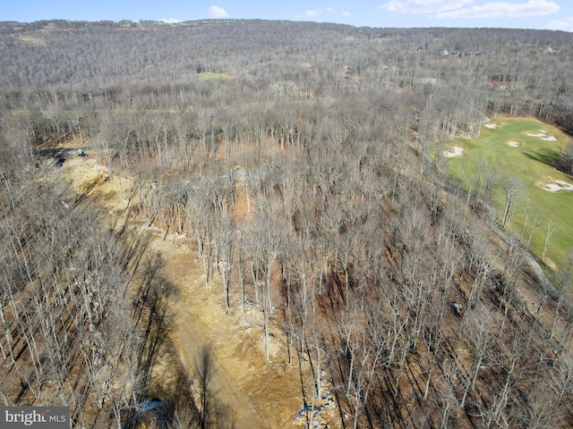 bird's eye view