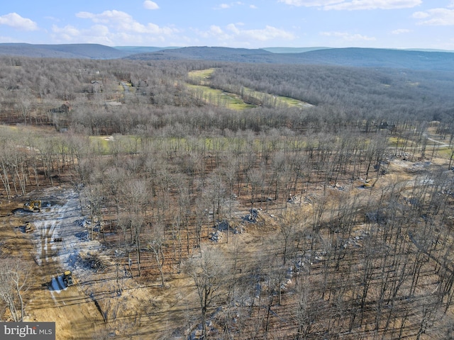 bird's eye view with a mountain view