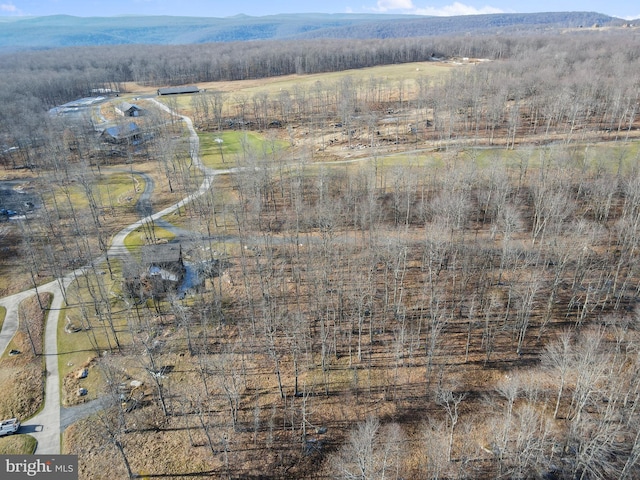 drone / aerial view featuring a mountain view