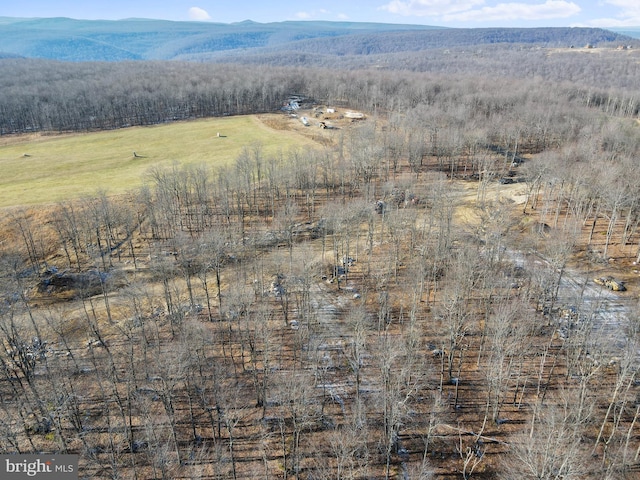 bird's eye view with a mountain view